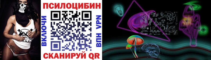 Псилоцибиновые грибы мухоморы  кракен tor  Багратионовск 