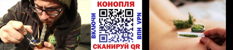 наркотики  blacksprut ТОР  Бошки марихуана THC 21%  Багратионовск 
